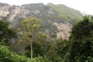 Huge Cliffs, Khao Sok National Park